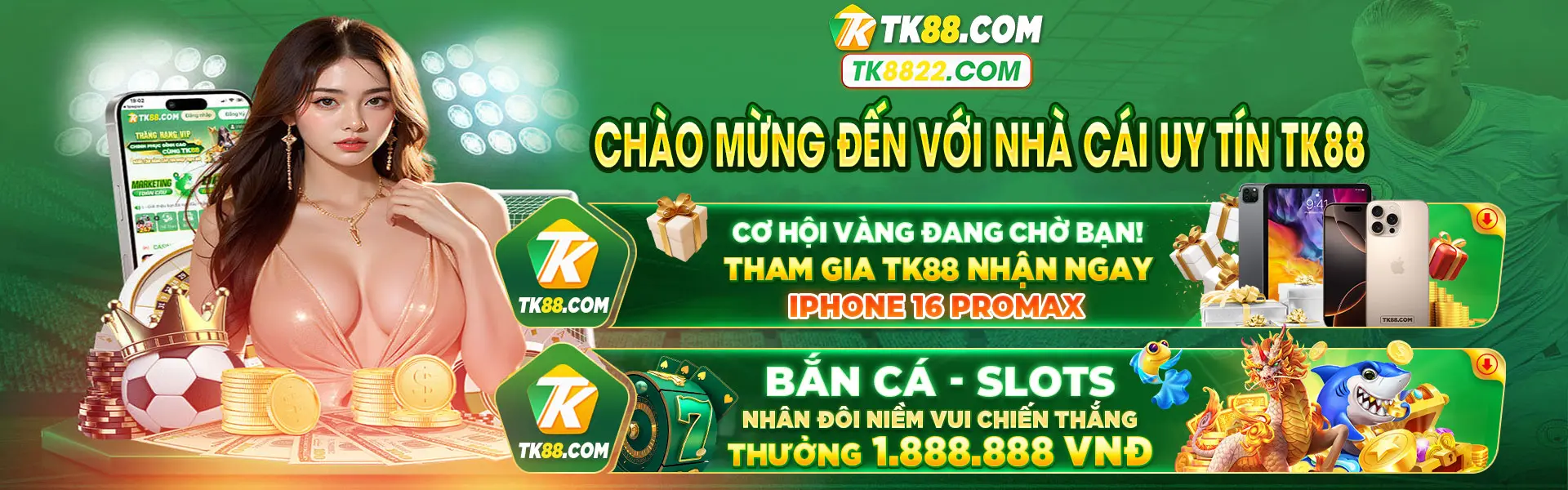 baner-tk88