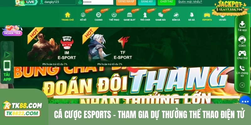 cá cược eSports